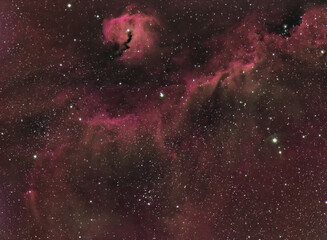 Wall Mural - ic2177 seagull nebula