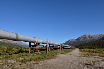 Ground-level view of the Alaska Pipeline