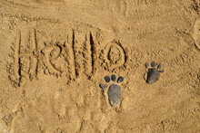 Two Footprints Made Of Pebbles On The Surface Of The Sea Sand Of The Desert And The Word Hello Is Written In The Sand. Games On The Sand And On The Beach. A Copy Of The Space