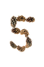 Number five made from pine cones, relates to fun, winter, outdoors, nature, autumn, snow, amping, fresh, earth, 