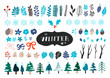 Vector set of winter icons. Snowflakes, trees, pinecones and leaves.