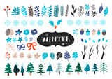 Fototapeta  - Vector set of winter icons. Snowflakes, trees, pinecones and leaves.