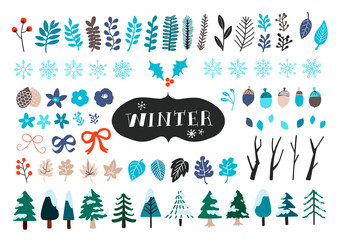 Vector set of winter icons. Snowflakes, trees, pinecones and leaves.