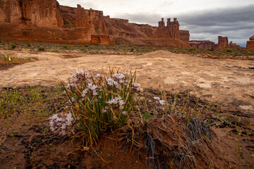 Wall Mural - arches national park during monsoon weather