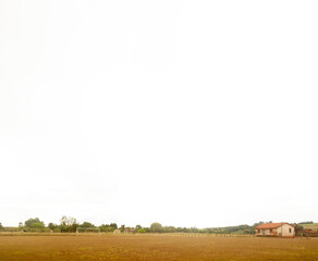 Wall Mural - paisagem do campo com espaço em branco para texto