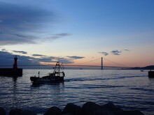 夜明け前、穏やかな海、漁を終えて港に戻る漁船