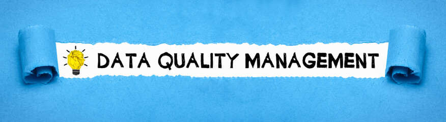 Poster - Data Quality Management 