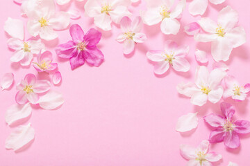 pink  apple flowers on pink background