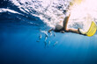© artifirsov - Young woman swim underwater with spinner dolphins in ocean at Mauritius