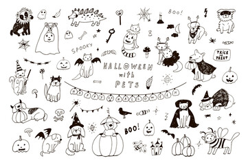 Wall Mural - Halloween with pets line hand drawn doodle vector illustrations set