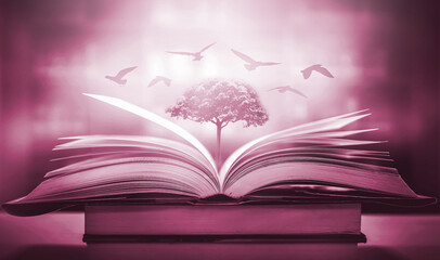 Poster - The concept of education by planting a tree of knowledge in the opening of an old book in the library and the magical magic of light that flies to the destination of success. Beautiful background