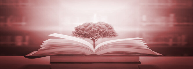 Poster - The concept of education by planting a tree of knowledge in the opening of an old book in the library and the magical magic of light that flies to the destination of success. Beautiful background