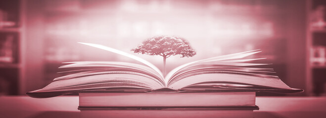 Poster - The concept of education by planting a tree of knowledge in the opening of an old book in the library and the magical magic of light that flies to the destination of success. Beautiful background