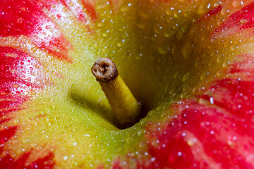 Close up macro photography of an apple and its stem