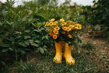 Rubber Boots With Beautiful Flowers In Garden