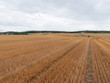 © Conny Sjostrom - Waved cultivated row field. Rustic autumn landscape in brown tones