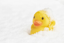 Original Photograph Of A Yellow Rubber Ducky Covered With Snow