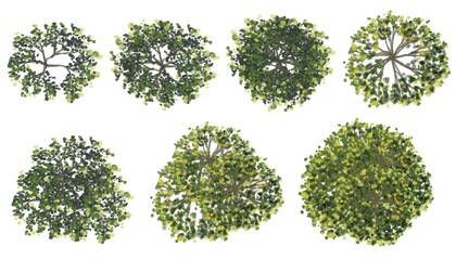 set of watercolor tree top view for landscape plan and architecture layout
