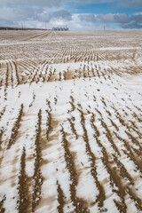 Wall Mural - Snow and Sand Pattern on a Field, WA