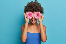 Portrait Of Happy Young Afro American Girl Covers Eyes With Rosy Gerberas, Has Fun, Holds Favourite Flowers, Has Toothy Smile, Dressed In Blue Top, Enjoys Spare Time. Happy Womens Day Concept