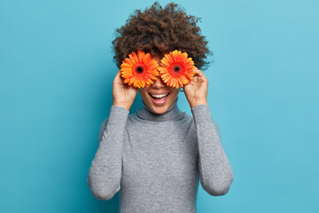 Playful positive curly woman covers eyes with two orange gerbera daisy, tells womens secrets, has happy mood, wears grey turtleneck, makes funny faces with flower, isolated on blue background