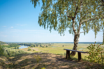 Wall Mural - Place for having a rest on the cliff on the bench under the birch tree with a marvelous view to the river