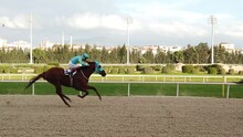 Slow Motion Jockey And Horse, Horse Race