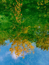 Reflections Of Autumn Leaves In Water
