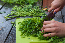 A Girl With A Beautiful Manicure, Cutting A Bunch Of Greens On A Wet Wooden Background, Cutting Vegetables On A Green Cutting Board With A Large Kitchen Knife
