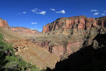 Wall Mural - View of Grand Canyon from Thunder River Trail off North Rim of Grand Canyon National Park, Arizona on clear sunny summer afternoon.