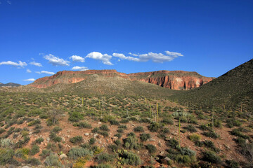 Wall Mural - View of Surprise Valley from Thunder River Trail in Grand Canyon National Park, Arizona on clear summer afternoon.