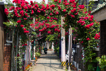 Seoul,South Korea-May 2020: Red Flowers Tunnel With Motorcycle Parking At The Street In Cheonho-dong Rose Village, South Korea