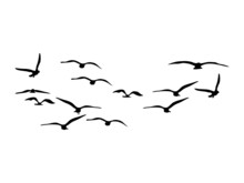 Silhouette Flock Of Flying Birds. Flying Birds On White Background. Vector Illustration