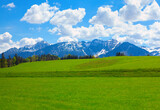 Fototapeta Góry - Green meadow and snowy Alps in the spring 