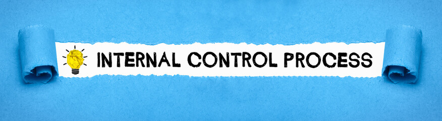 Poster - Internal Control Process