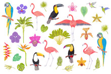 Watercolor Tropical Bird, Trees, Flowers And Leaves. Toucan Flamingo Colibri Macaw Parrot Birds, Orchid Flowers, Areca Palm Heliconia Flower. Cololful Tropic Background Isolated On White