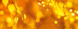 Autumn background with orange, yellow leaves and golden sun lights, natural bokeh. Fall nature landscape with copy space
