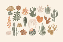 Various Cactus Collection. Vintage Silhouette Style Illustration. Succulent Set. Vector Illustration