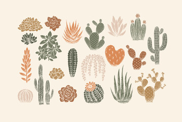 various cactus collection. vintage silhouette style illustration. succulent set. vector illustration