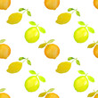 lemon orange citrus fruits watercolor painting in seamless pattern