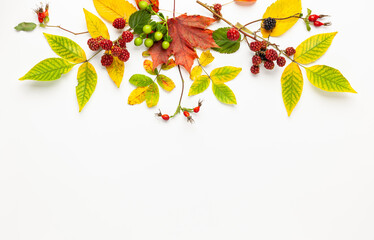 Wall Mural - autumn composition made of flowers,leaves, berries on white background. autumn concept for thanksgiv