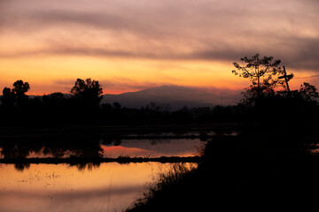 Wall Mural - sunset on the river