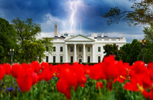 Storm Moody Sky Over White House, Residence And Workplace Of The President Of The United States View With Red Tulips, Concept Idea