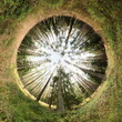 Forest. Little Planet