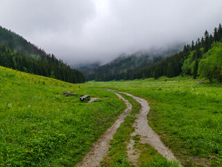 Poster - The Small Meadow Valley - Tatry - Zakopane	
