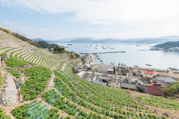 Wall Mural - Superb view of Uwa-kai Sea