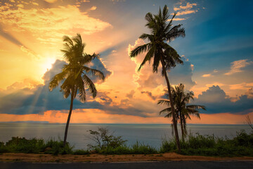 Silhouette coconut palm trees on beach at sunset.