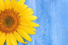 Sunflower Autumn Beauty Blossom Free Stock Photo - Public Domain Pictures