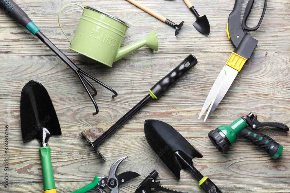Gardening tools on wooden background