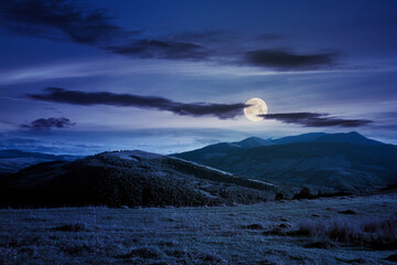 Wall Mural - beautiful carpathian countryside at night. wonderful autumn landscape in mountains. rural scenery wi